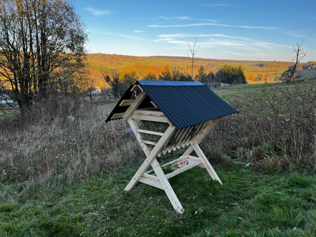 Luxus Ferienhaus Erzgebirge In Alleinlage Altenberg Bagian luar foto